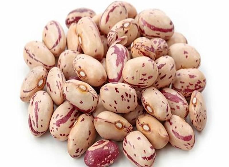قیمت خرید لوبیا چیتی دو رنگ عمده به صرفه و ارزان
